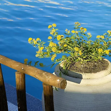 Ξενοδοχείο με διαμερίσματα S'incantu